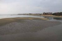 【豊橋市】豊川河口の風景3