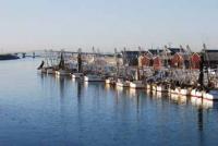 【一色町】一色港に停泊する漁船