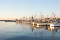 【一色町】一色港の夜明け3