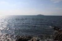 【幡豆町】寺部海岸の定置網