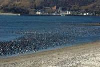 【幡豆町】西幡豆3