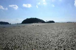 【幡豆町】東幡豆の干潟1