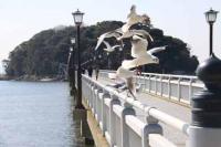 【蒲郡市】カモメの舞2（竹島桟橋）