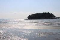 【蒲郡市】潮が引いた竹島海岸