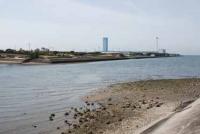 【豊川市】御津新田の風景1