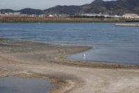 【豊川市】御津新田の風景2