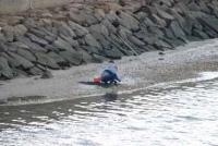 【一色町】貝拾い（一色港）