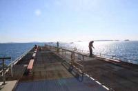 【一色町】魚つり広場（佐久島）1