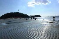 【幡豆町】東幡豆の潮干狩り2