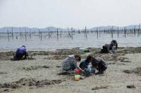 【幡豆町】東幡豆の潮干狩り6