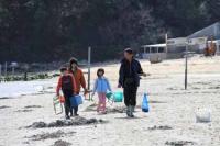 【幡豆町】東幡豆の潮干狩り7