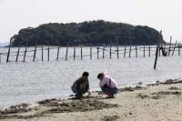 【幡豆町】東幡豆の潮干狩り8