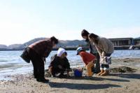 【幡豆町】東幡豆の潮干狩り9