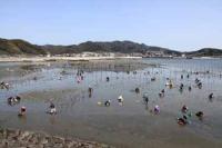 【幡豆町】幡豆海岸の潮干狩り1