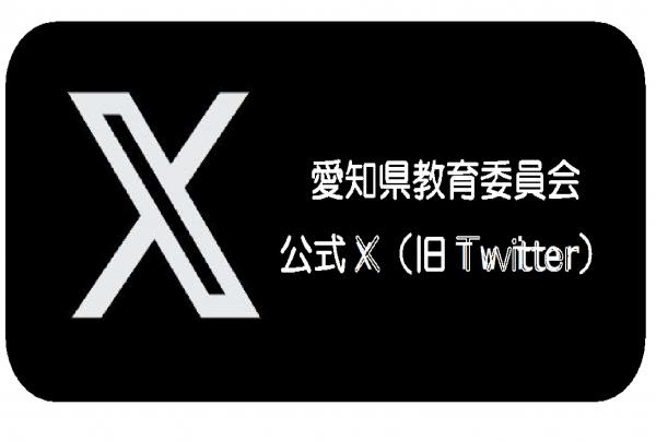 公式X