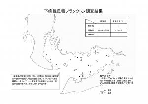 下痢性貝毒プランクトン調査結果20250305