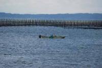 【一色町】アサリを採る漁師2