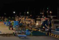 【一色町】一色魚市場の風景2