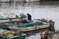 【幡豆町】東幡豆漁港の漁師1