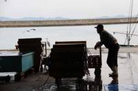 【幡豆町】東幡豆漁港の風景2