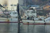 【幡豆町】幡豆漁港の漁師1