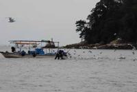 【蒲郡市】アサリ漁の風景2