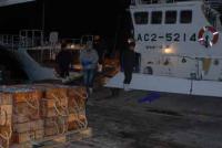 【蒲郡市】水揚げ風景2（形原漁港）