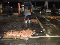 【蒲郡市】水揚げ風景3（形原漁港）