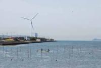 【豊川市】網を仕掛ける漁師1（御津新田付近）