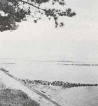 東実録海岸風（昭和25年頃）