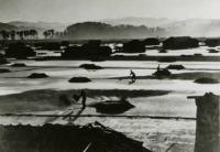 白浜入浜式塩田の風景（昭和28年以前）