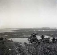 吉田港沖（のり養殖網を使用する前の風景）