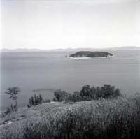宮崎海岸から望む梶島（昭和30年代後半）