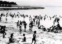 海水浴風景_4番組海岸（昭和29年）