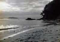 寺部の海岸（昭和28年頃）