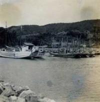 州崎港の第五大福丸【左端】（昭和33年8月1日）