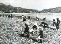 潮干狩風景_2番組海岸から北東を見る(昭和30年頃)