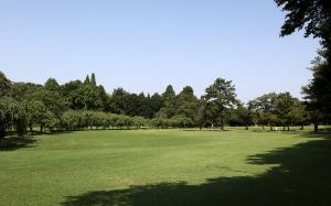 センター広場