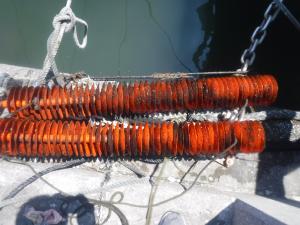 牡蠣養殖方法２