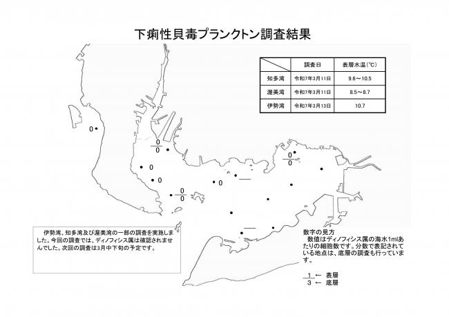 下痢性貝毒プランクトン調査結果20250311