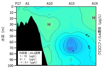 鉛直クロロフィルa濃度