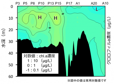 鉛直クロロフィルa濃度