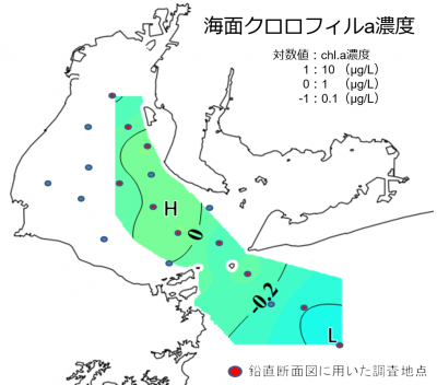 水平クロロフィルa分布