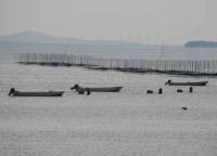 【旧一色町】アサリ漁