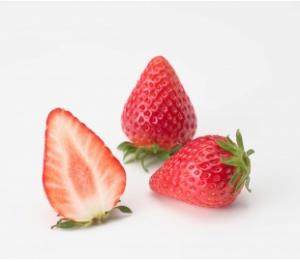 愛経4号「愛きらり」画像