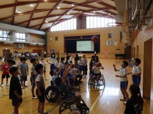 赤いバラの写真です。