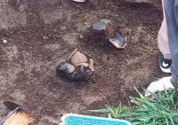 発掘体験イメージ