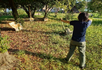 弓矢体験の画像