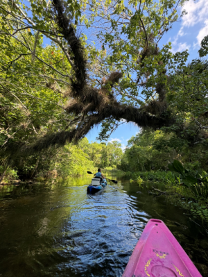 kayaking