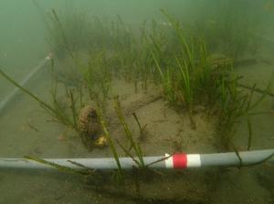 5月、麻袋法、片名B